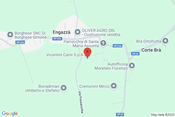 Vicentini Carni Srl