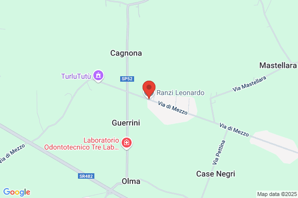 Ranzi elio (Dr.)