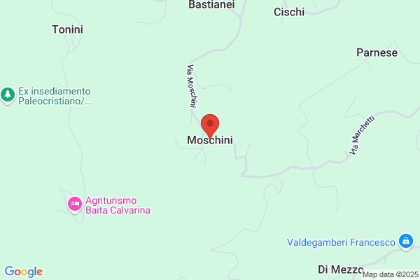 Moschini umberto Mario