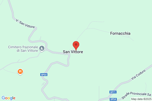 Violi roberto