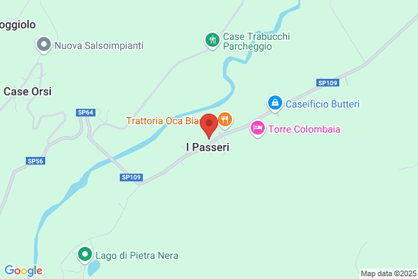Passera ireneo