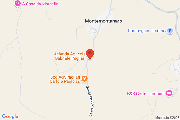 Pagliari donatella