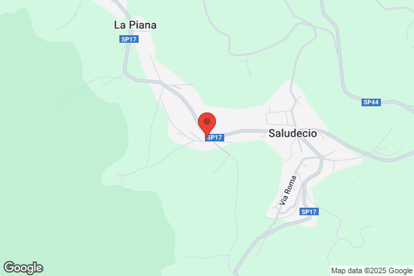 Dellospedale Silvio