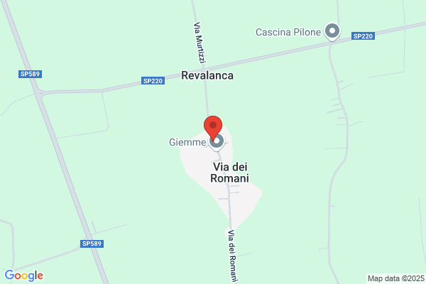 Quaglia piero (Geom.)