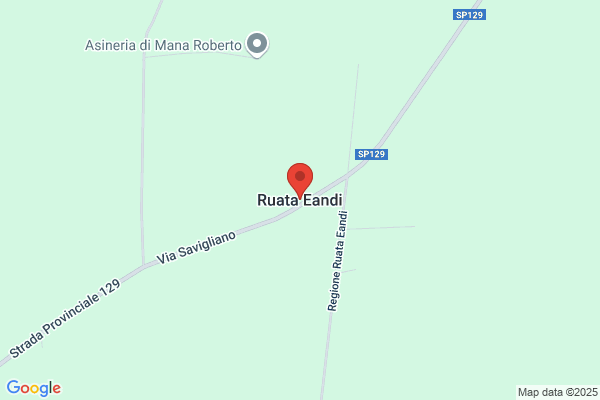 Eandi Elio