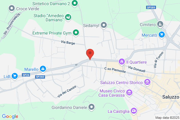 Mondino cristina