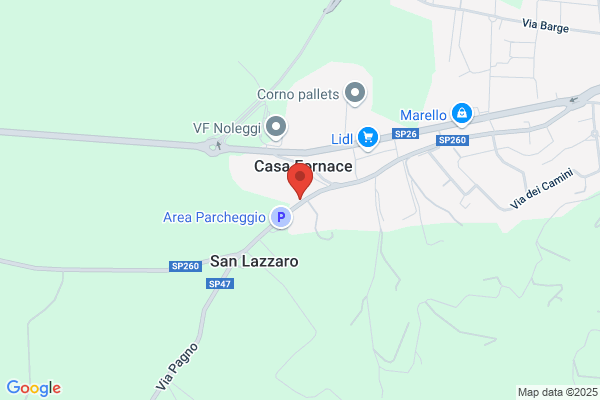 Raposo carlo