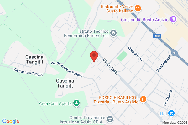 Elettro Busto (S.N.C.)