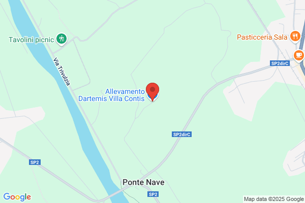 Allevamento Dartemis Villa Contis