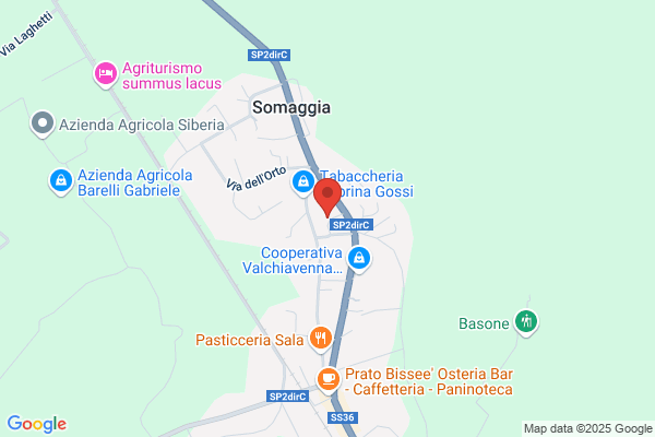 Scuola Elementare Somaggia