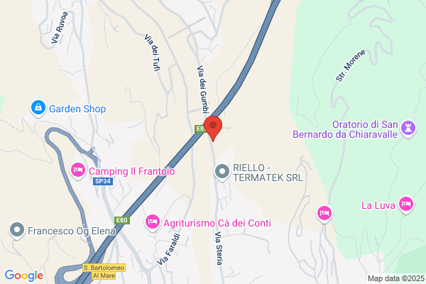 Montagna saverio