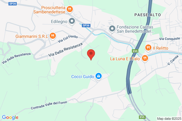 Feliziani Dott. Mauro Ambulatorio Veterinario Centro Cinofilo Pizzo dell'Arco