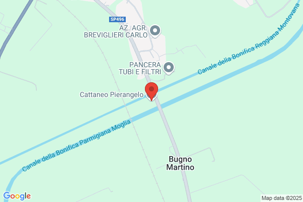 Cattaneo pierangelo (Dr.)