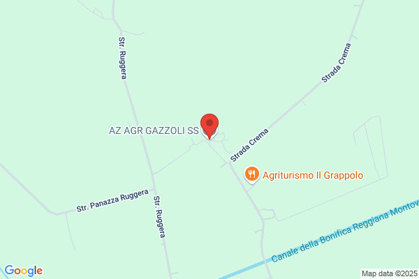 Gazzoli Lino