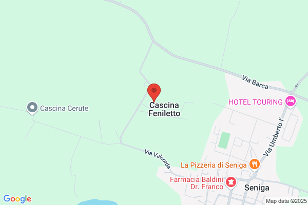 Grandi Fratelli Luigi E Giancarlo