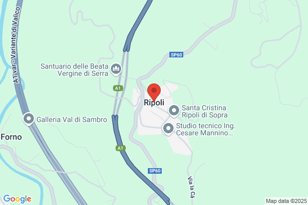 Negri vittorio