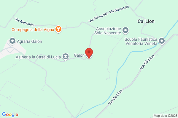 Gava Giannino