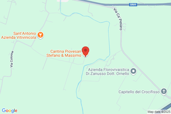Piovesan armando