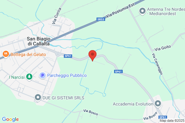 Fioravanti Onesti Gaetano (B.Ne)