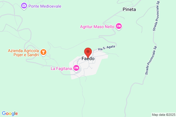 Faedo Giuseppe