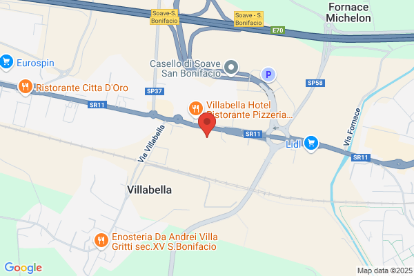 Vesentini raffaele (Dr.)