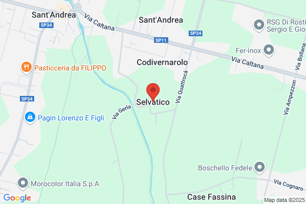 Selvatico adelmo
