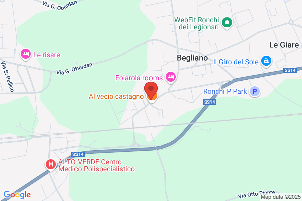 Potente doriana (Dr.)