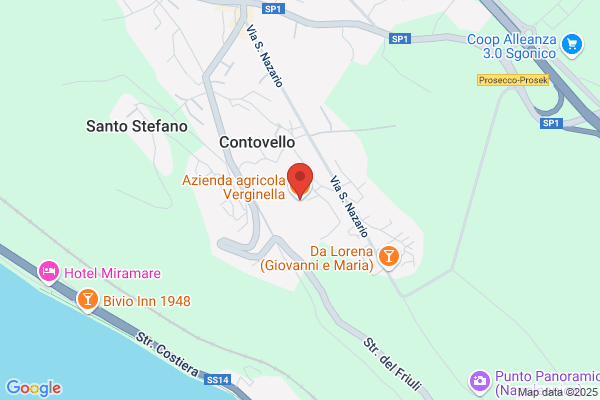 Verginella gianni