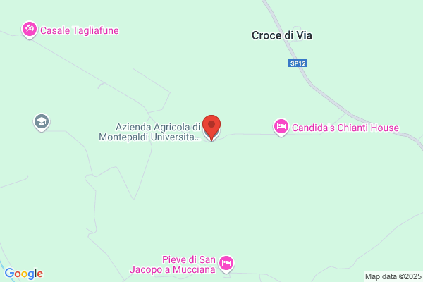 Azienda Agricola di Montepaldi Srl