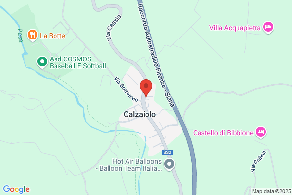Zecchi Stefano E Taddei Antonio