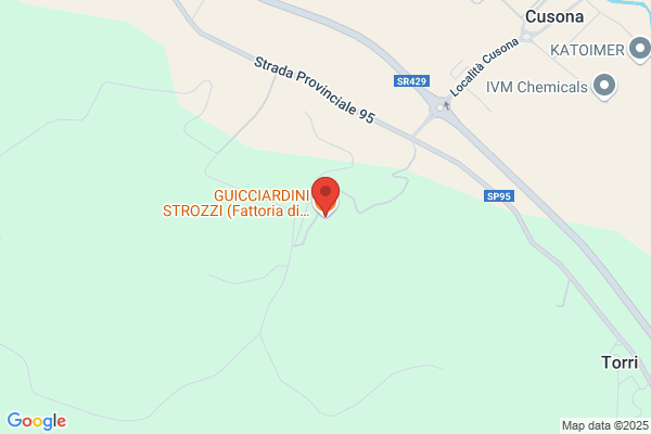 Guicciardini Lodovico (C.Te)