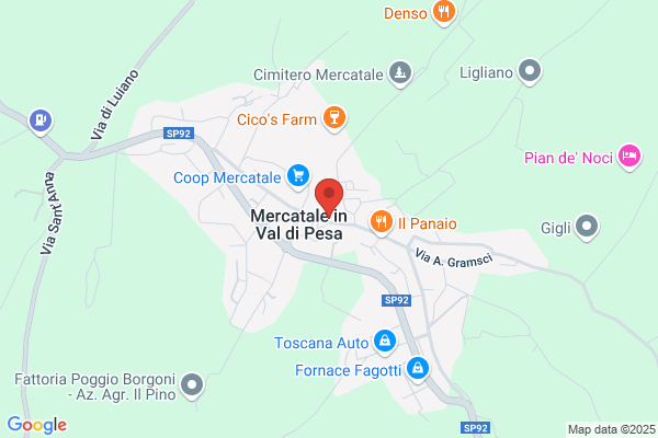 Vignoli marco