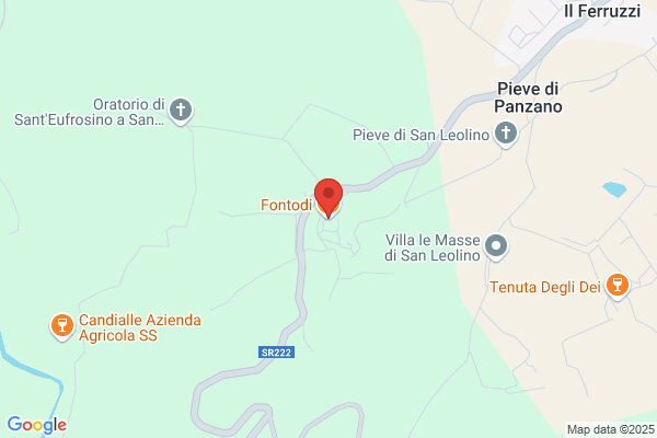 Azienda Agricola Fontodi Di Domiziano & Dino manetti