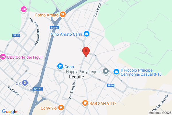 Anima trattoria - pizzeria