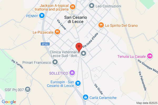 Lettere & Cuna S.D.F.
