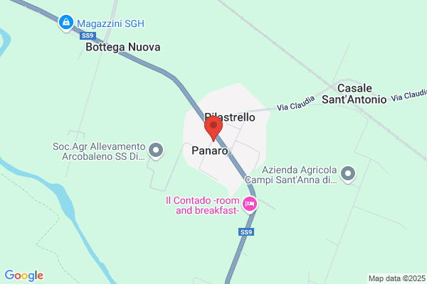 Gelsomino Anna Maria