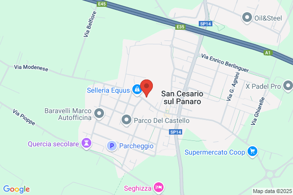 Cavicchioli sauro