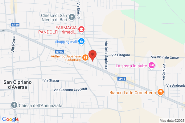 Coop.Regionale Trasporti 93 Arl