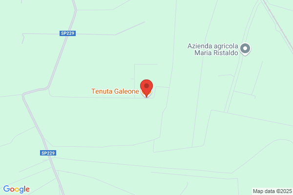 Galeone Salvatore