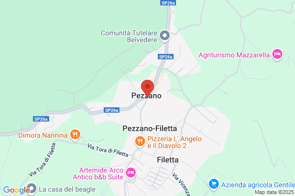 Voto antonio