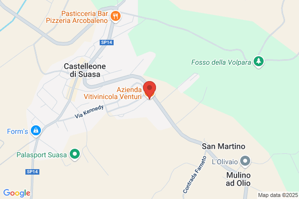 Venturi celestino