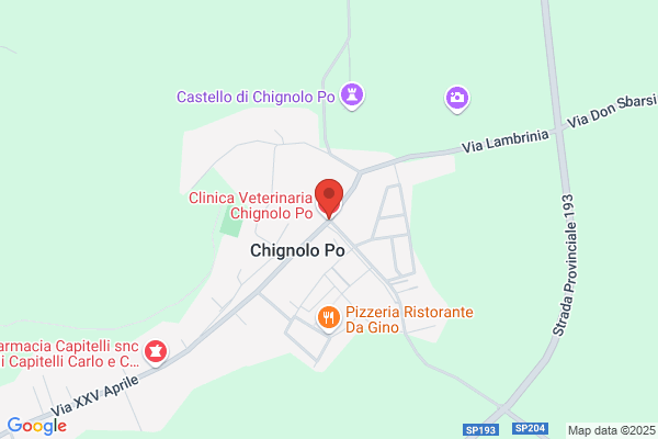 Clinica Veterinaria Chignolo Po