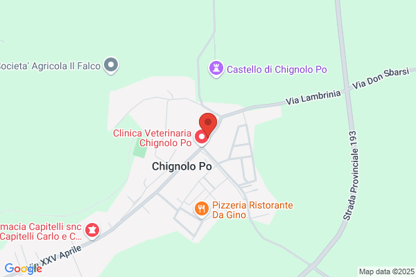 Lo Scarabocchio