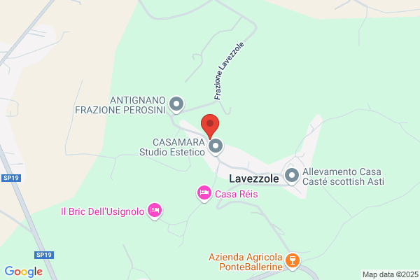Monticone domenico