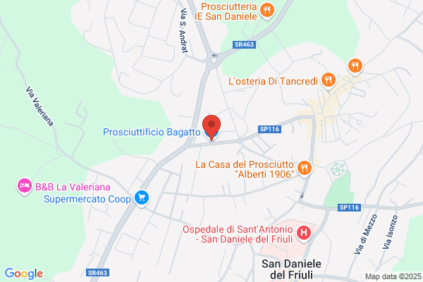 Prosciuttificio Bagatto Rino