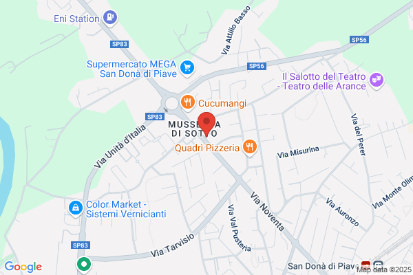Menoia fabio