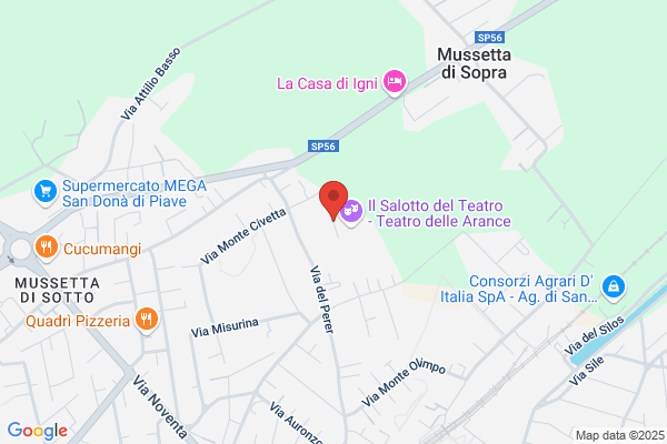 Impresa di Pulizie Manu