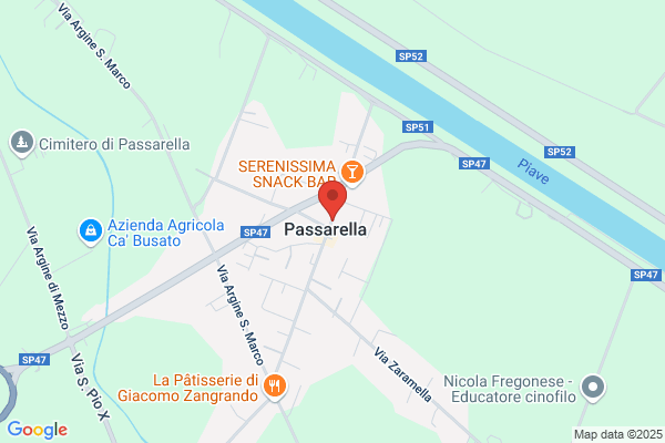 Lagunare