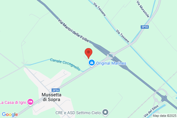 Trasporti e Servizi