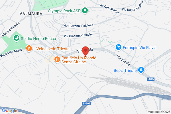 Nuova Navalsystem (S.R.L.)